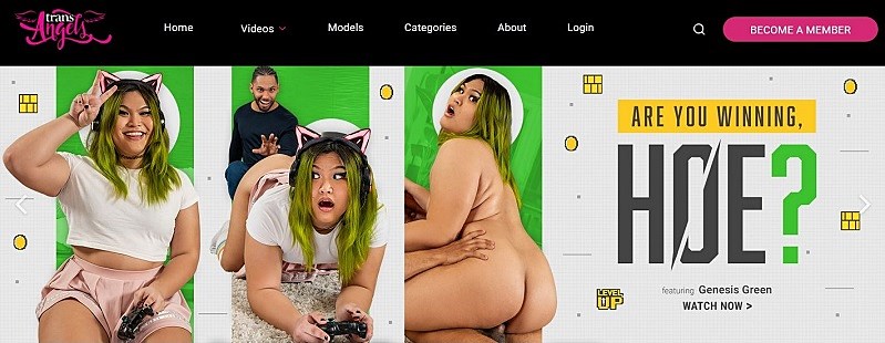TransAngels - March 2025 SiteRip  ( 6 Videos )